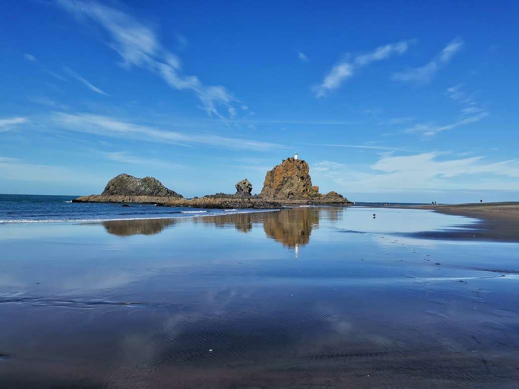 New zealand, Beach, reflection online puzzle