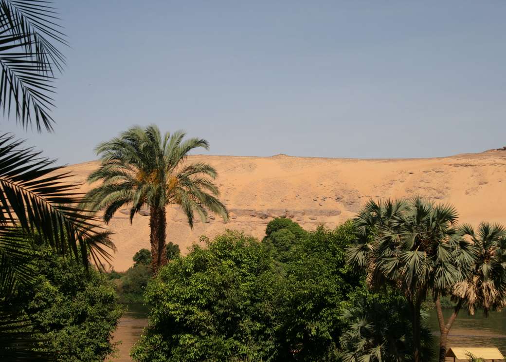 Widok z brzegu Nilu online puzzel