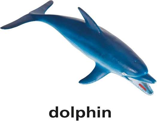 d для дельфіна онлайн пазл