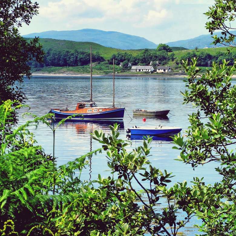 barca marrone sul lago vicino a alberi verdi durante il giorno puzzle online