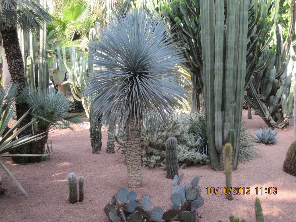 Jardín de Marrakech rompecabezas en línea