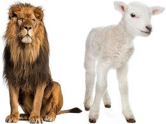 ライオンの子羊 オンラインパズル