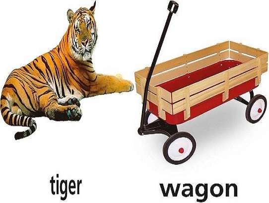 carroça de tigre quebra-cabeças online