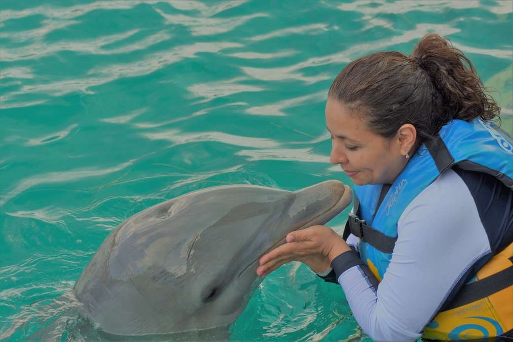 kvinna som leker med delfin i vattenmassan Pussel online