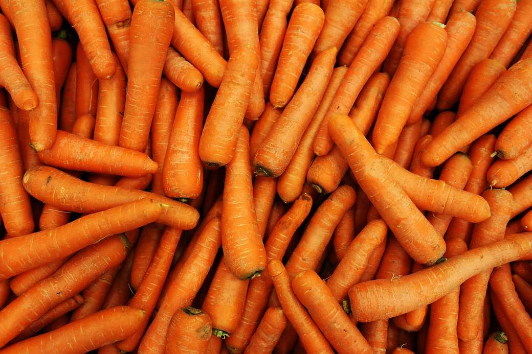 Karotten ganz viele Karotten Puzzlespiel online