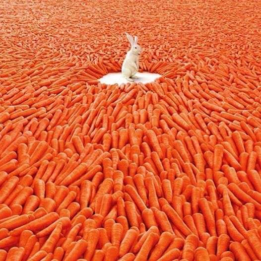 Заек в моркови. онлайн пъзел