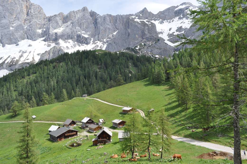 Áustria. Aldeia alpina puzzle online