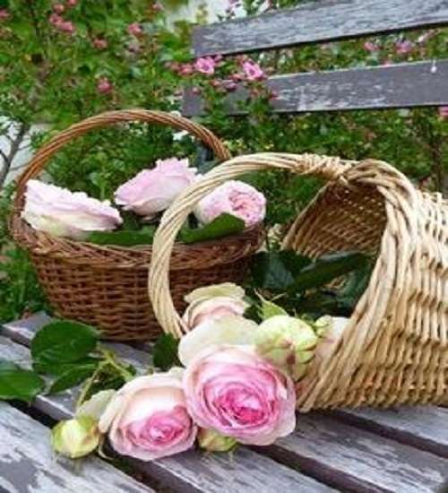 Basket with roses. jigsaw puzzle online