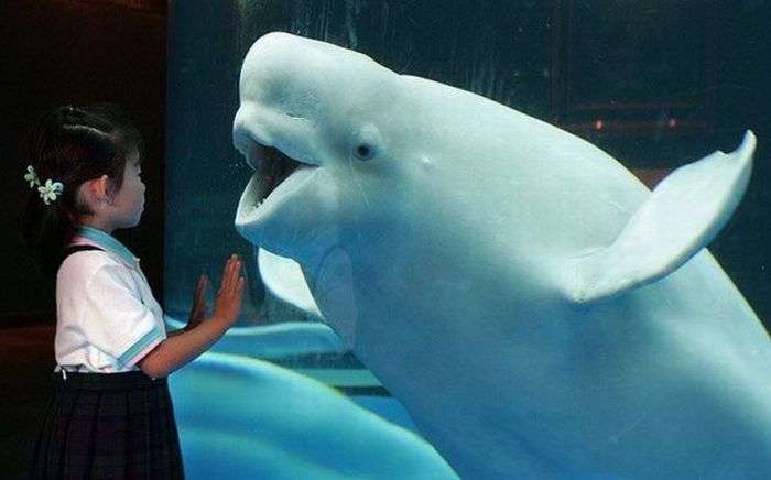 A baleia dá um beijo no bebê quebra-cabeças online