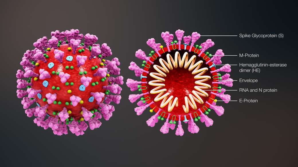 Χαρακτηριστικά ιών online παζλ