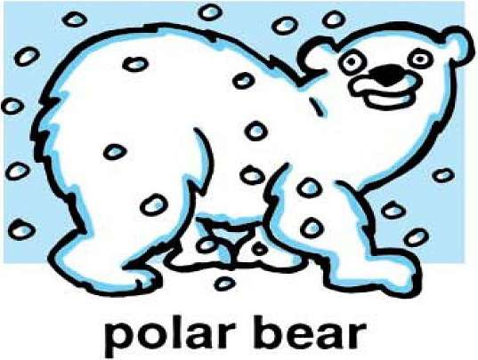 p é para urso polar puzzle online