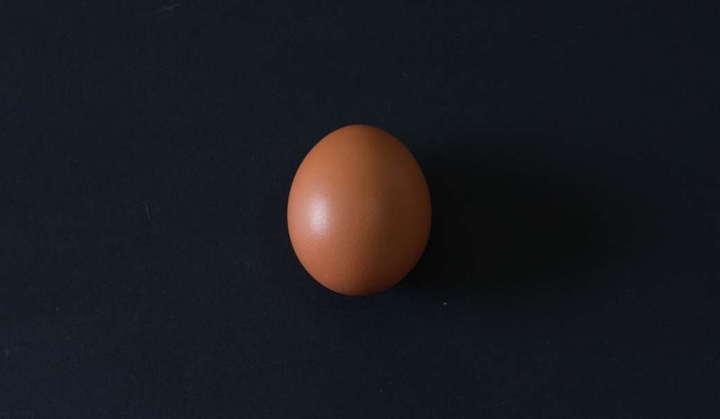 Hnědé vejce skládačky online