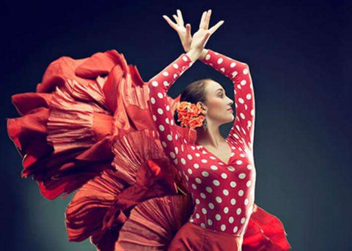 Flamenco pussel på nätet