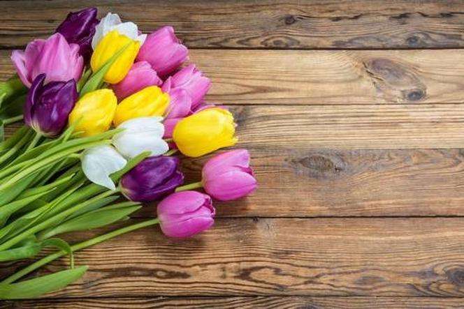 Flores- tulipanes rompecabezas en línea