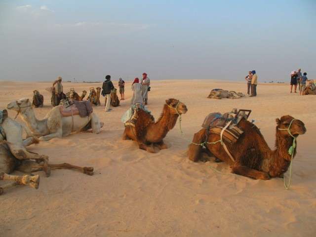 Deserto del Sahara puzzle online
