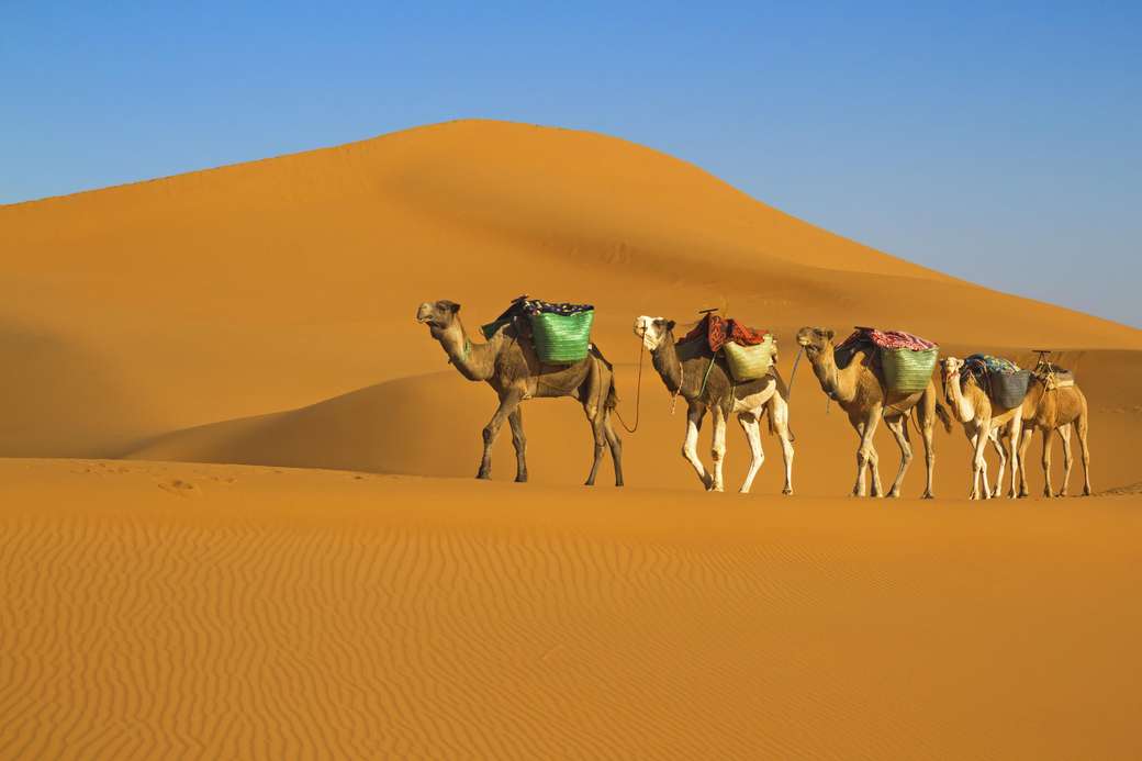 Pouštní Sahara online puzzle