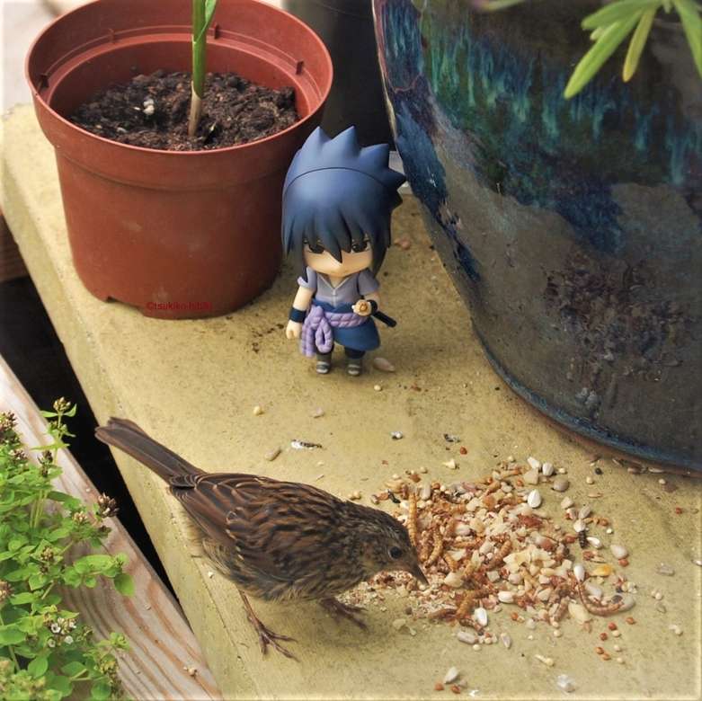 Sasuke bewondert een vogel online puzzel