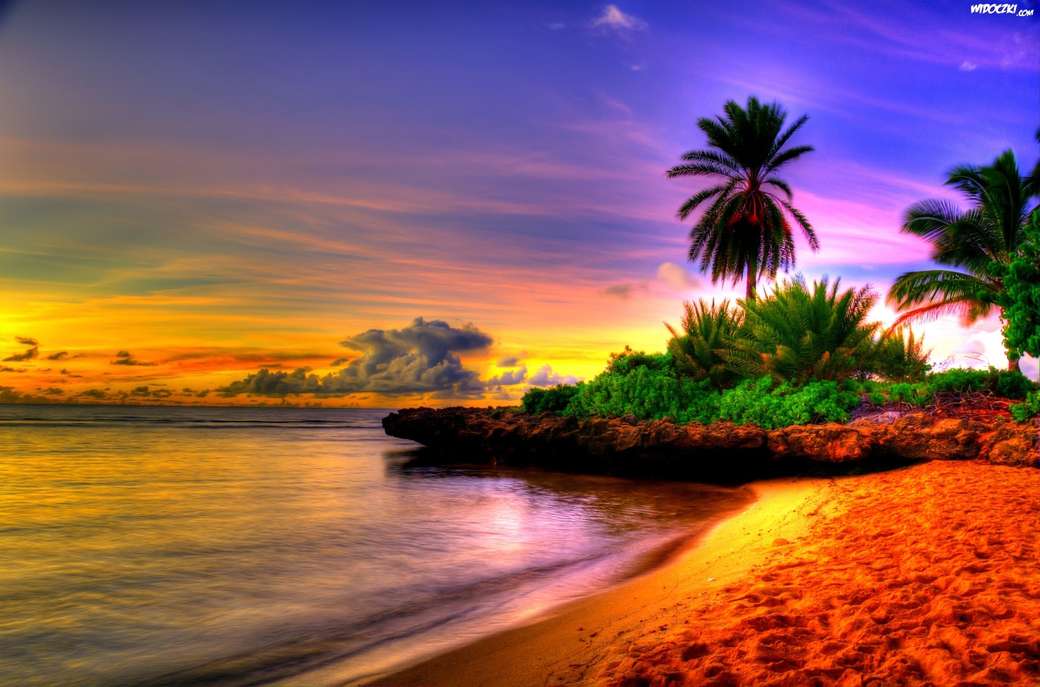 Hav, strand, solnedgång, palmer Pussel online