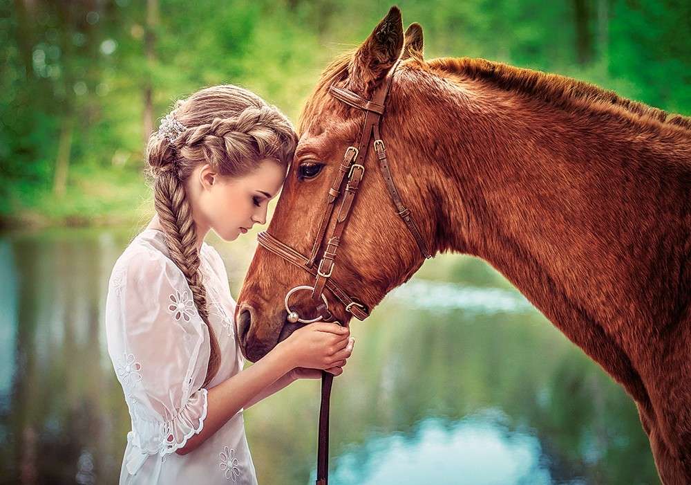 Vriendschap met het paard online puzzel