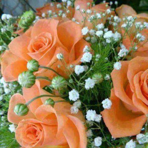 ღ ღ Τα πιο όμορφα λουλούδια ೋ ღ παζλ online