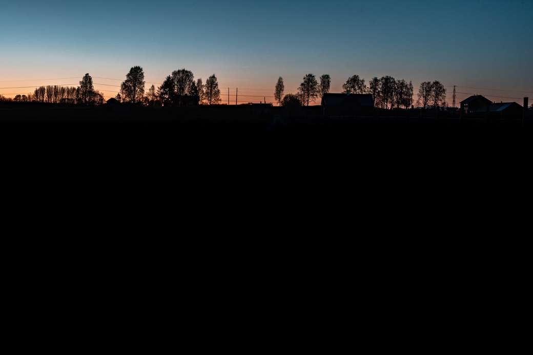 Schattenbild der Bäume während des Sonnenuntergangs Online-Puzzle