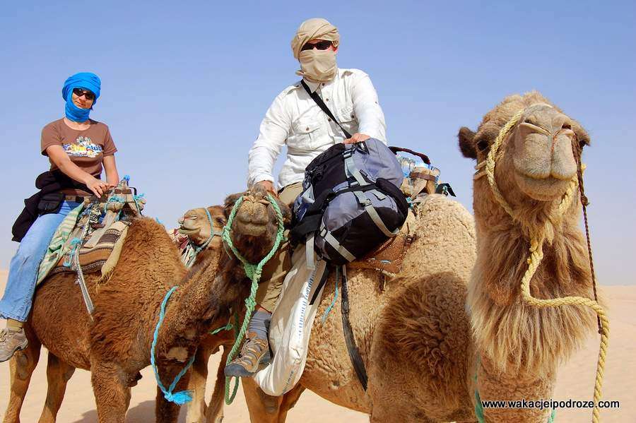 мароко - сахара - камили онлайн пъзел