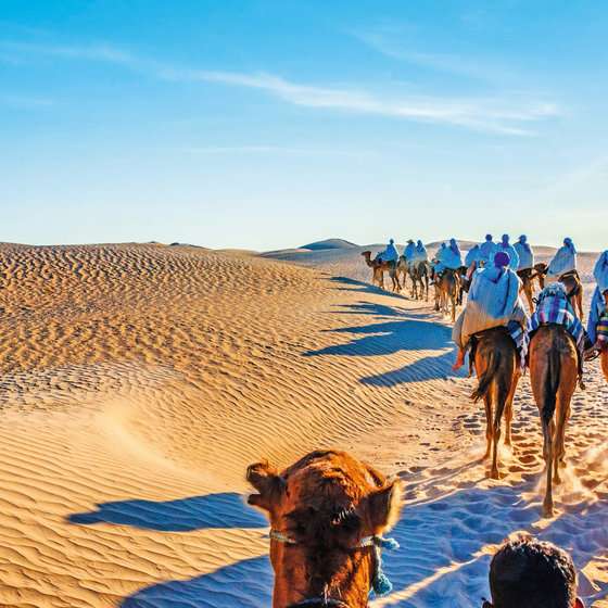 marocko - sahara - kameler pussel på nätet