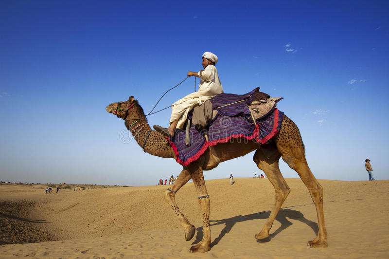 kameel in de woestijn online puzzel