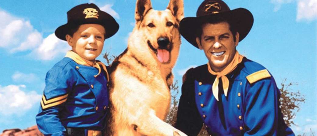 Corporal Rusty, Rin-Tin-Tin and ten. Rip Master online puzzle
