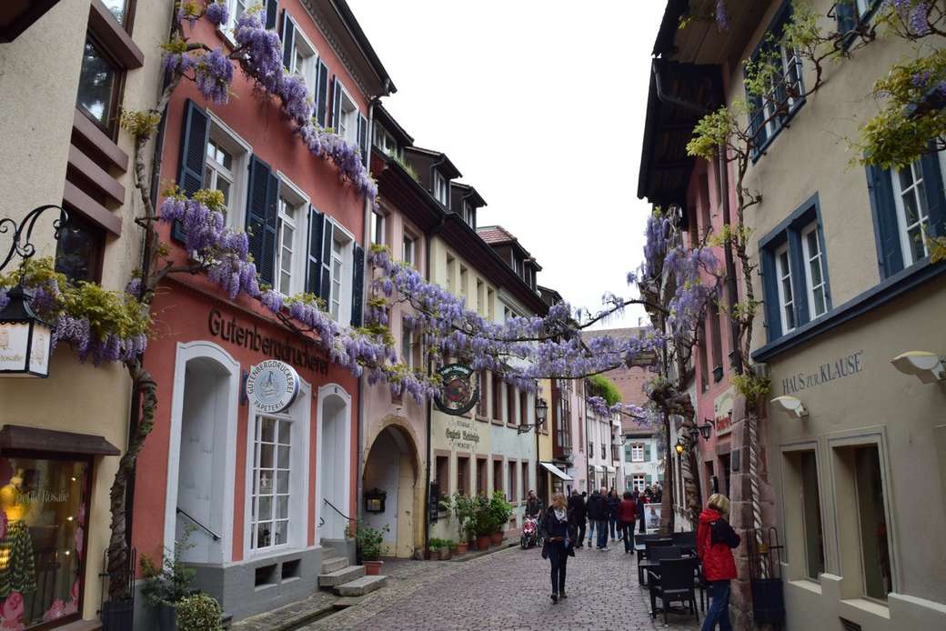 Freiburg im Breisgau oude stad legpuzzel online