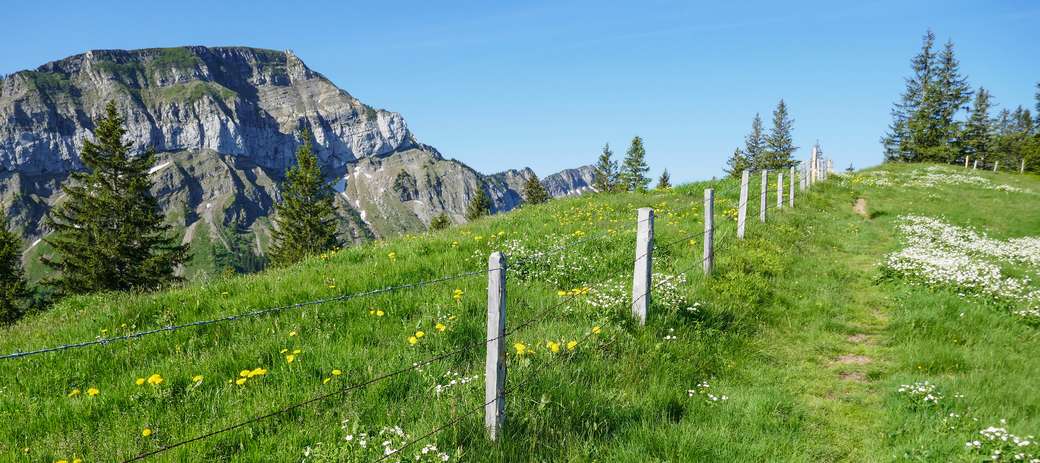 Schwarzenberg Vorarlberg hiking trail online puzzle