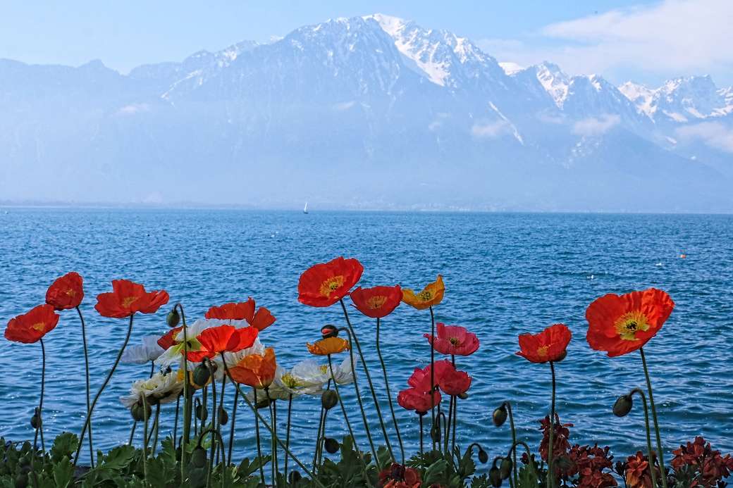 Lago de Ginebra en primavera rompecabezas en línea