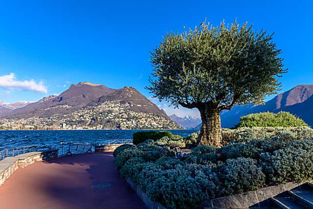 Lac de Lugano Tessin puzzle en ligne