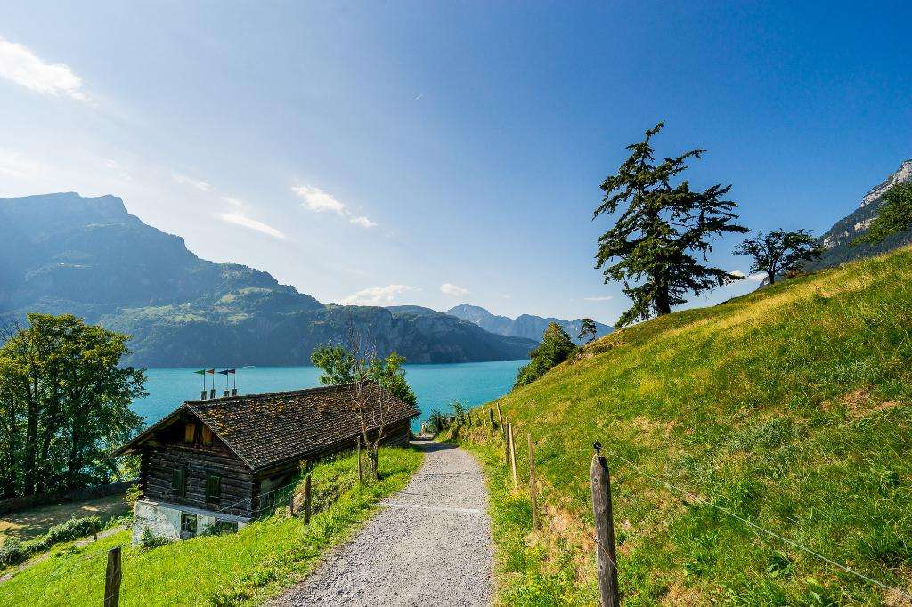 Sentier de randonnée sur le lac d'Uri Suisse puzzle en ligne