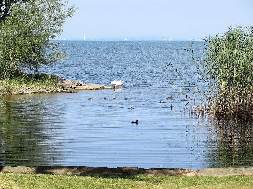 Reserva natural del lago de Constanza rompecabezas en línea