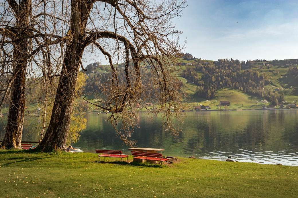 Скамейка на озере Эгери пазл онлайн