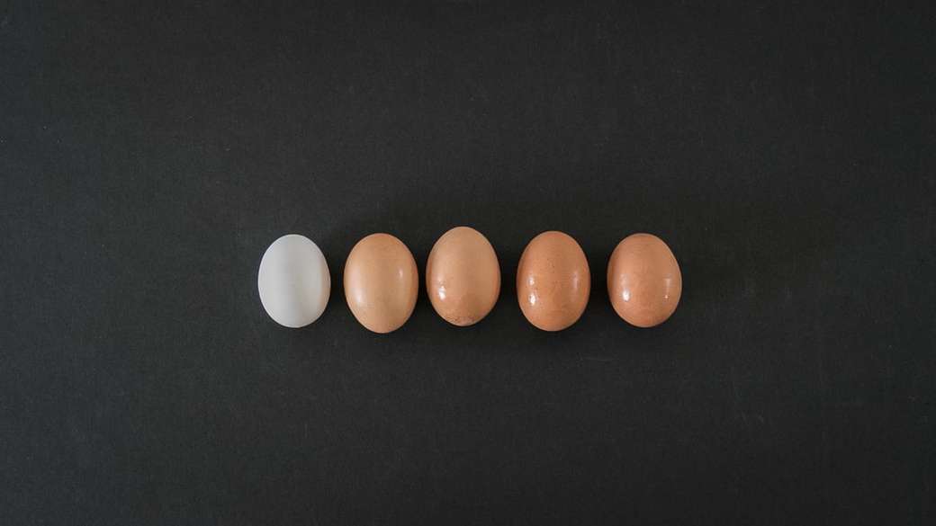 fila di uova biologiche puzzle online