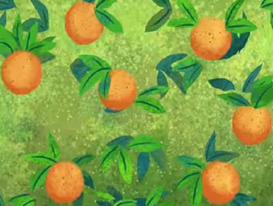 o is voor sinaasappels legpuzzel online