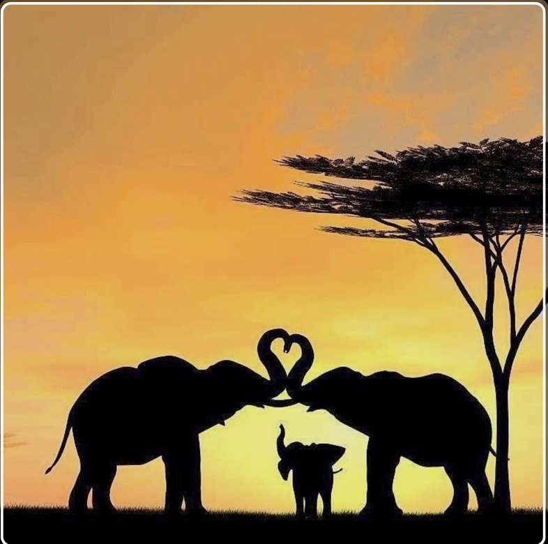 Слоні родинка někde v pousti V noci пазл онлайн