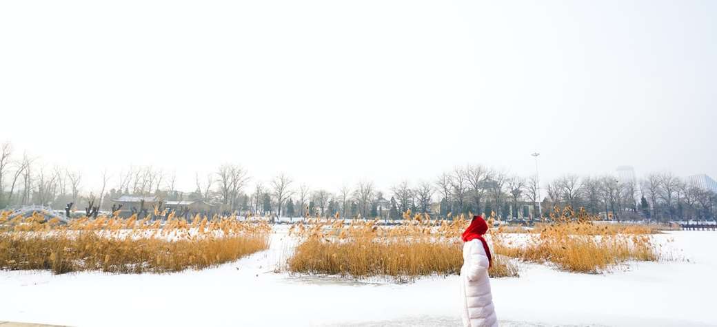 Момиче с червен шал в сняг онлайн пъзел