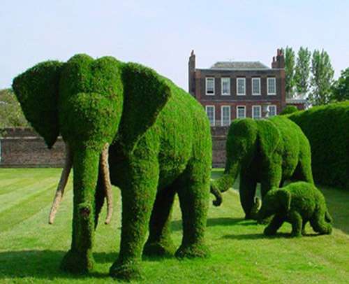 Elephants - topiary ......... jigsaw puzzle online
