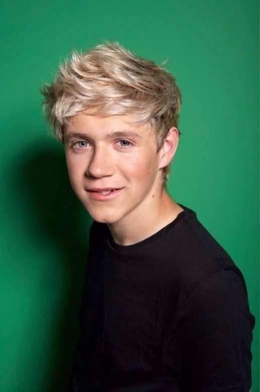 Niall Horan. online puzzle