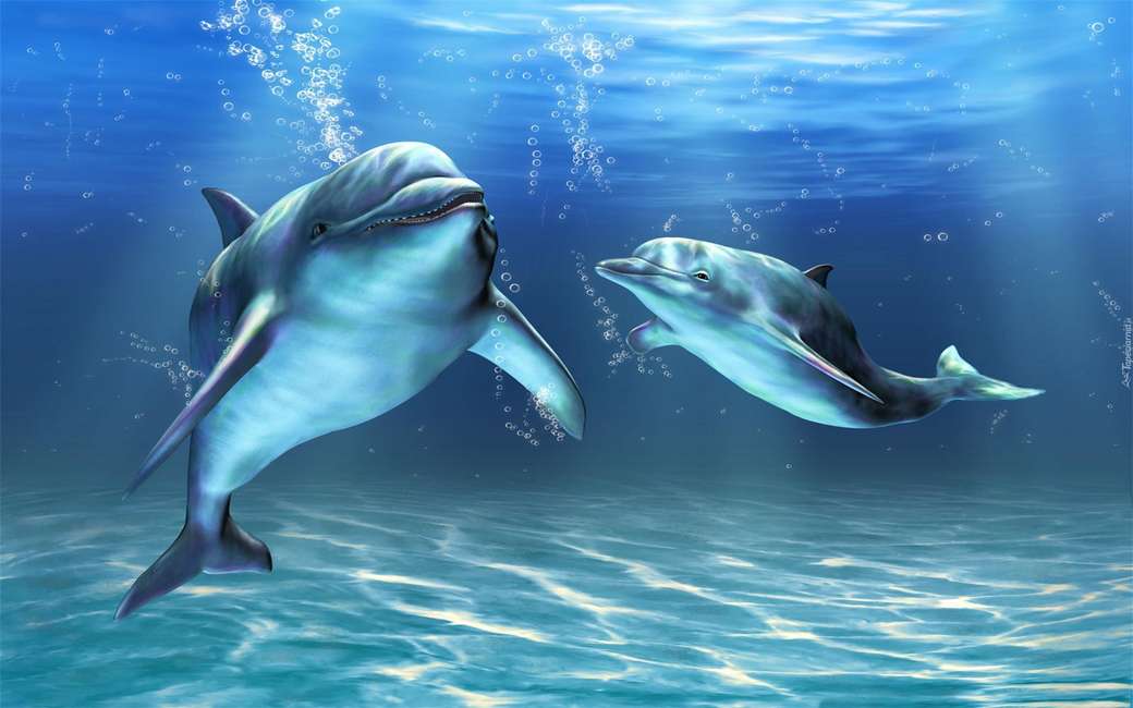 дельфины в бездне онлайн-пазл