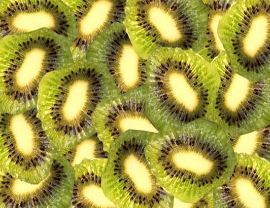 k is for kiwis jigsaw puzzle online