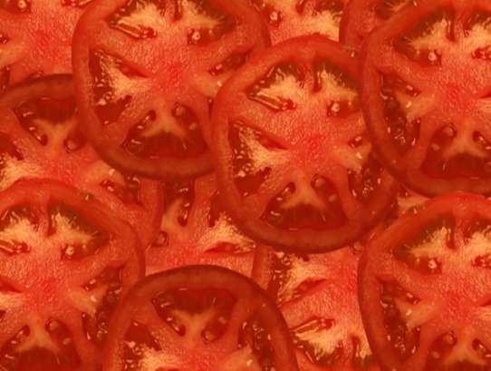 t je pro rajčata online puzzle