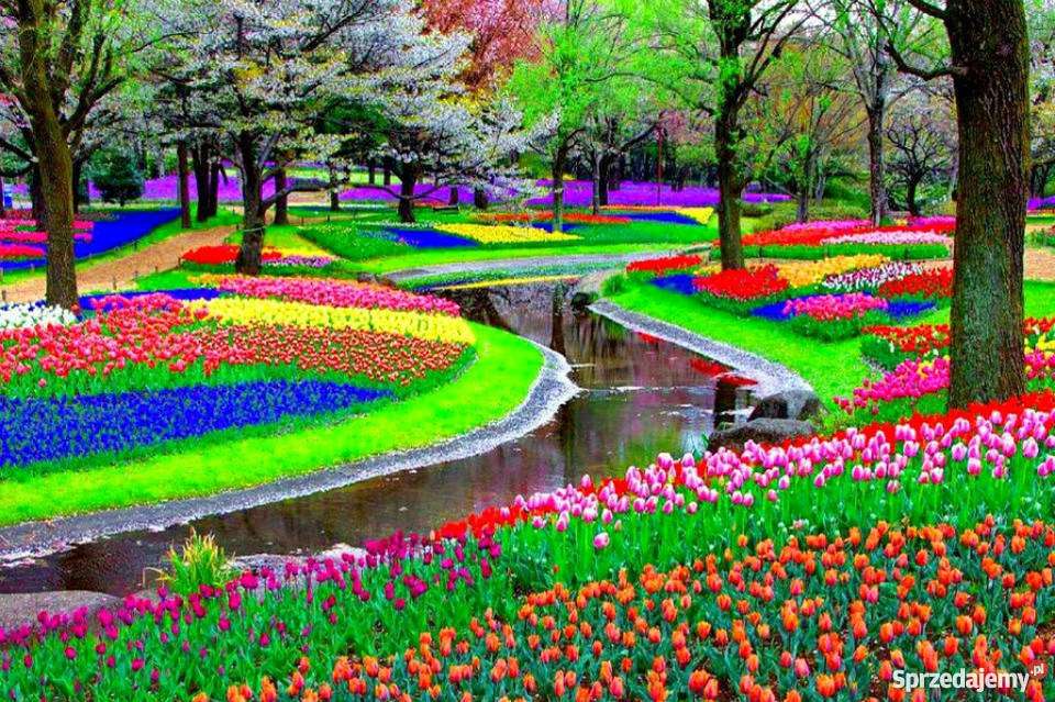 giardino fiorito nei Paesi Bassi puzzle online