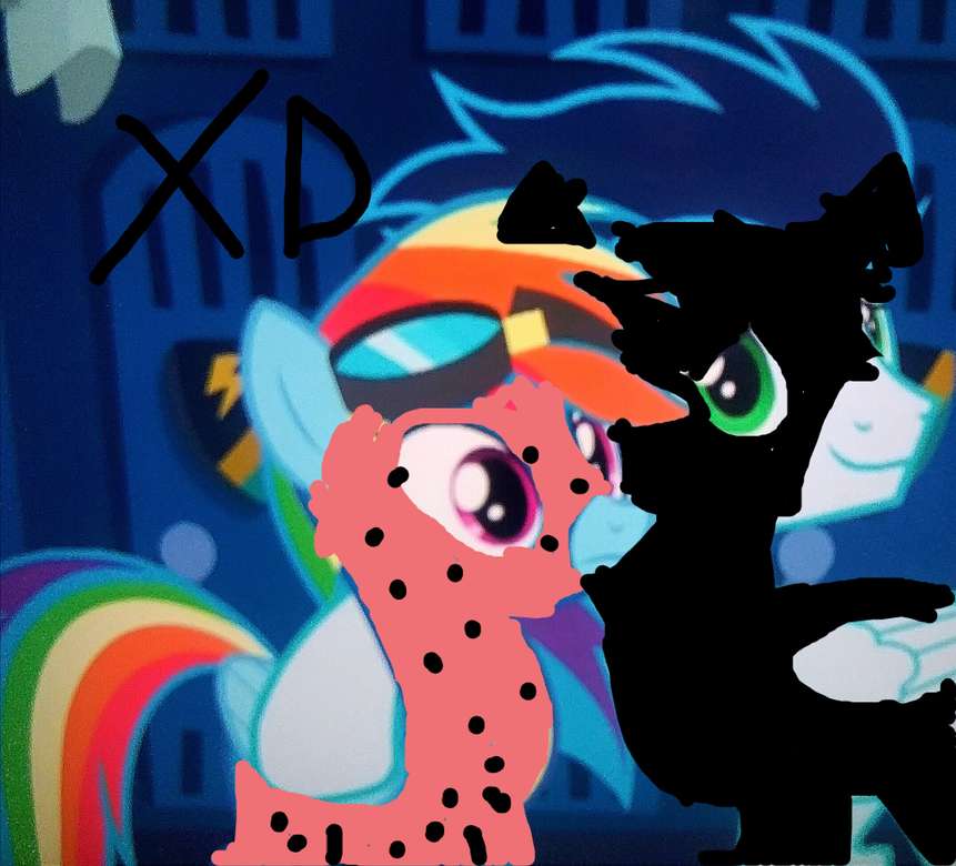 Rainbow Dash and Soarin # 2 Kraksionka and Sloped Cat online puzzle