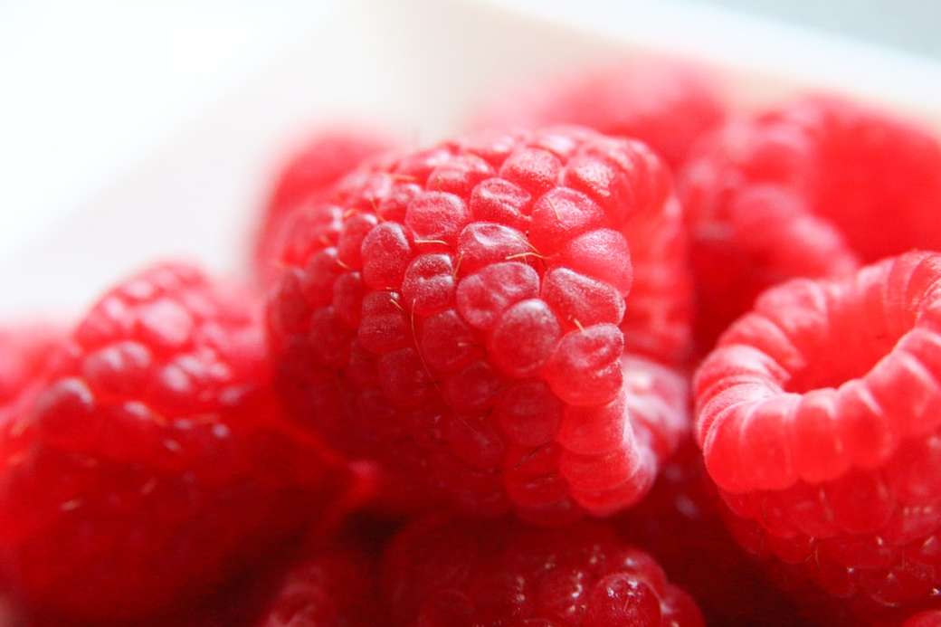 red raspberry in bowl on white jigsaw puzzle online