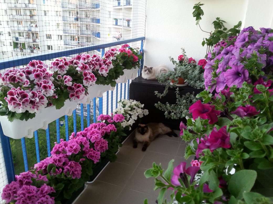 балкон в цветя онлайн пъзел