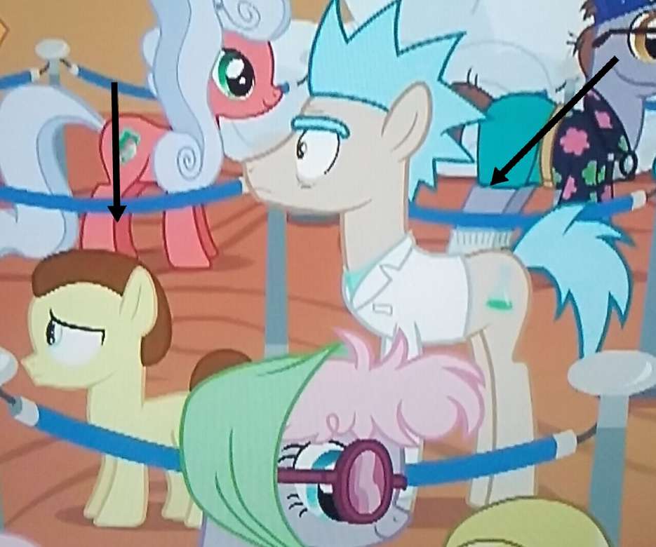 Rick et Morty en tant que Ponies XD puzzle en ligne